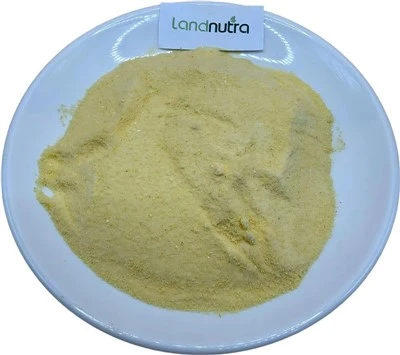 Polvere di acido di vitamina A pura
